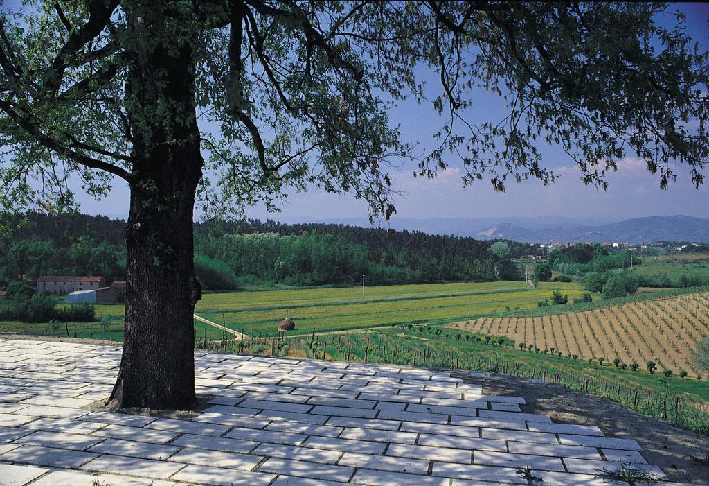 Agriturismo Le Due Querce Lazzeretto 外观 照片